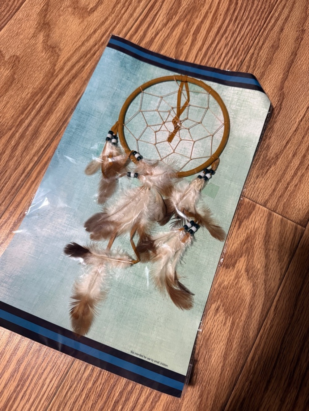 Dreamcatcher Wall Art Print - Teal and Brown